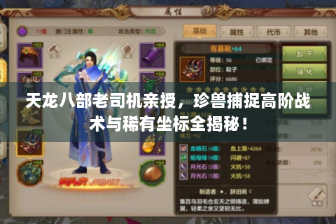 天龙八部老司机亲授，珍兽捕捉高阶战术与稀有坐标全揭秘！