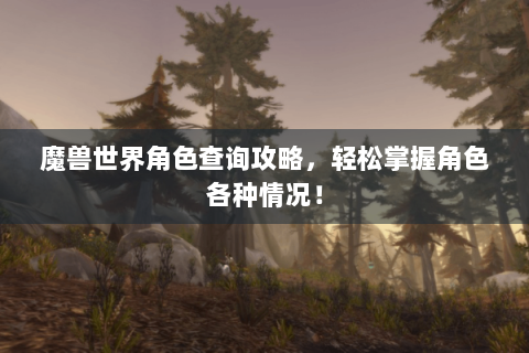 魔兽世界角色查询攻略，轻松掌握角色各种情况！