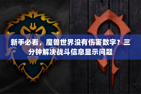 新手必看，魔兽世界没有伤害数字？三分钟解决战斗信息显示问题