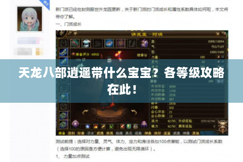 天龙八部逍遥带什么宝宝？各等级攻略在此！