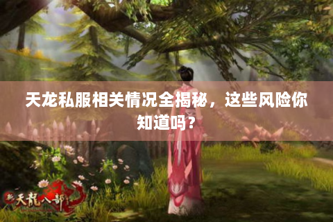 天龙私服相关情况全揭秘，这些风险你知道吗？