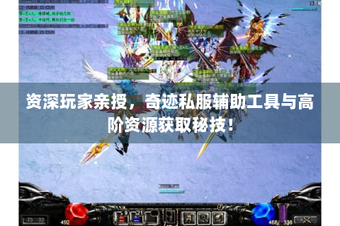 资深玩家亲授，奇迹私服辅助工具与高阶资源获取秘技！