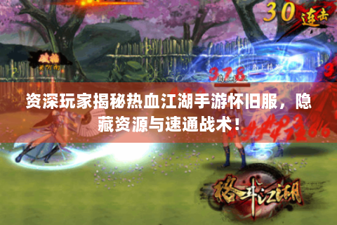 资深玩家揭秘热血江湖手游怀旧服，隐藏资源与速通战术！