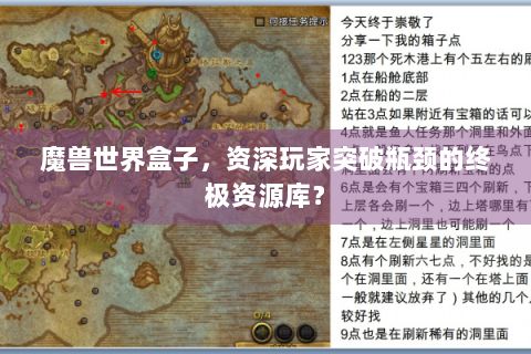 魔兽世界盒子，资深玩家突破瓶颈的终极资源库？