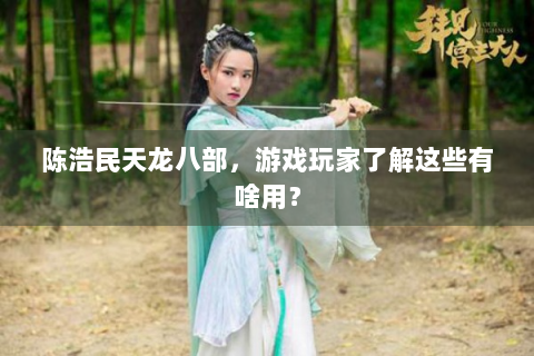陈浩民天龙八部，游戏玩家了解这些有啥用？