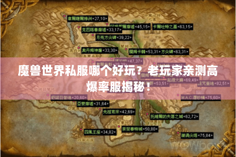 魔兽世界私服哪个好玩？老玩家亲测高爆率服揭秘！
