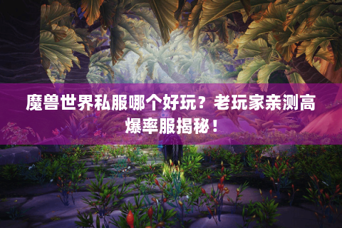 魔兽世界私服哪个好玩？老玩家亲测高爆率服揭秘！