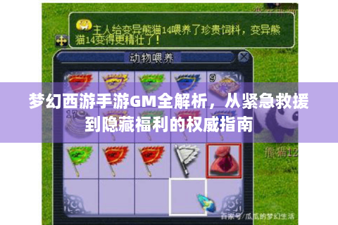 梦幻西游手游GM全解析，从紧急救援到隐藏福利的权威指南