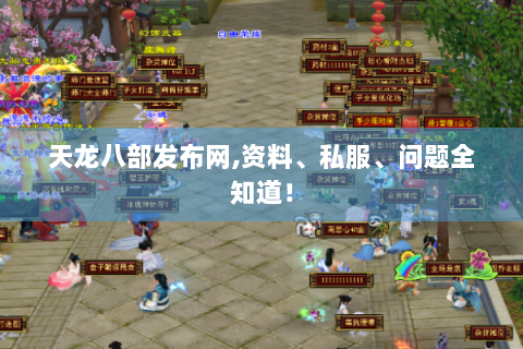 天龙八部发布网,资料、私服、问题全知道！