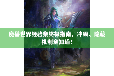 魔兽世界经验条终极指南，冲级、隐藏机制全知道！