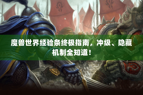 魔兽世界经验条终极指南，冲级、隐藏机制全知道！