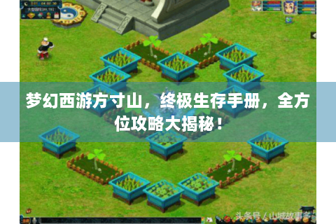 梦幻西游方寸山，终极生存手册，全方位攻略大揭秘！