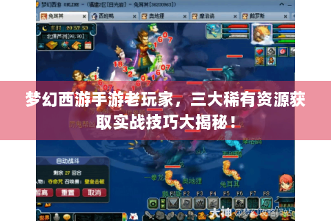梦幻西游手游老玩家，三大稀有资源获取实战技巧大揭秘！