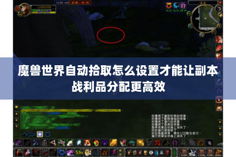 魔兽世界自动拾取怎么设置才能让副本战利品分配更高效