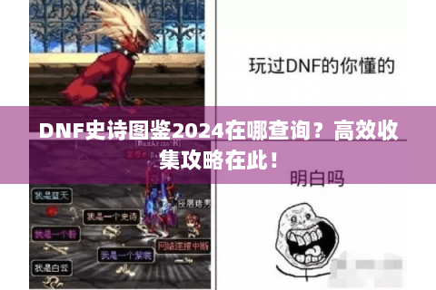 DNF史诗图鉴2024在哪查询？高效收集攻略在此！
