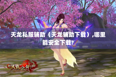 天龙私服辅助（天龙辅助下载）,哪里能安全下载?