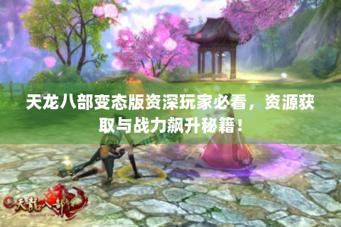 天龙八部变态版资深玩家必看，资源获取与战力飙升秘籍！
