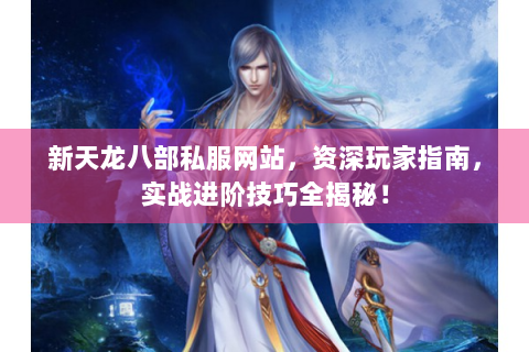 新天龙八部私服网站，资深玩家指南，实战进阶技巧全揭秘！