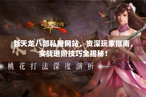 新天龙八部私服网站，资深玩家指南，实战进阶技巧全揭秘！