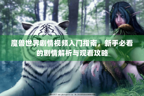 魔兽世界剧情视频入门指南，新手必看的剧情解析与观看攻略