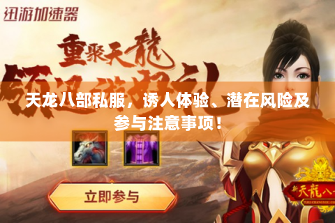 天龙八部私服，诱人体验、潜在风险及参与注意事项！
