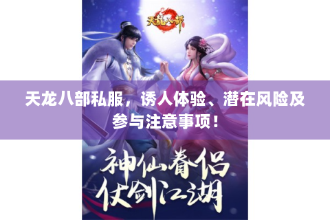 天龙八部私服，诱人体验、潜在风险及参与注意事项！
