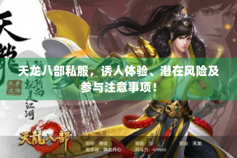 天龙八部私服，诱人体验、潜在风险及参与注意事项！