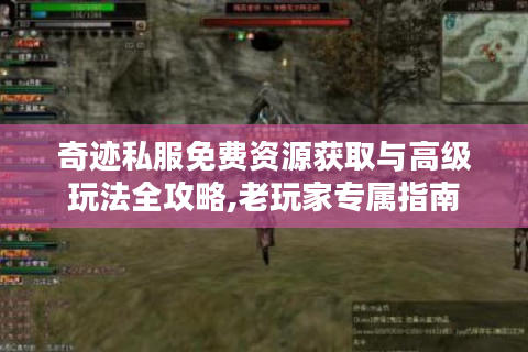 奇迹私服免费资源获取与高级玩法全攻略,老玩家专属指南