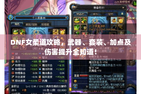DNF女柔道攻略，武器、套装、加点及伤害提升全知道！
