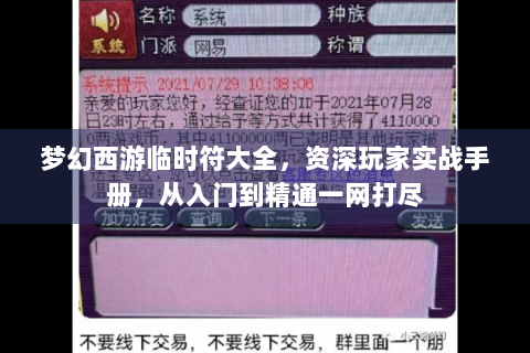 梦幻西游临时符大全，资深玩家实战手册，从入门到精通一网打尽