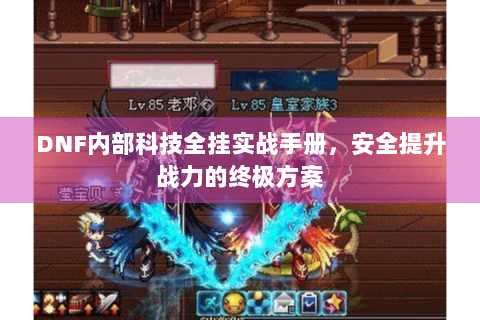 DNF内部科技全挂实战手册，安全提升战力的终极方案