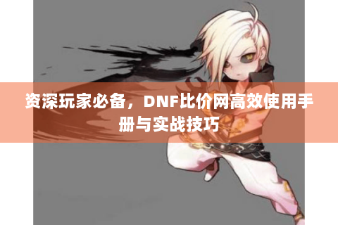 资深玩家必备，DNF比价网高效使用手册与实战技巧