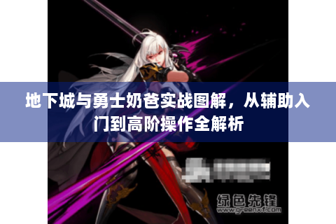 地下城与勇士奶爸实战图解，从辅助入门到高阶操作全解析