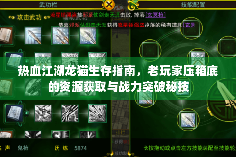热血江湖龙猫生存指南，老玩家压箱底的资源获取与战力突破秘技