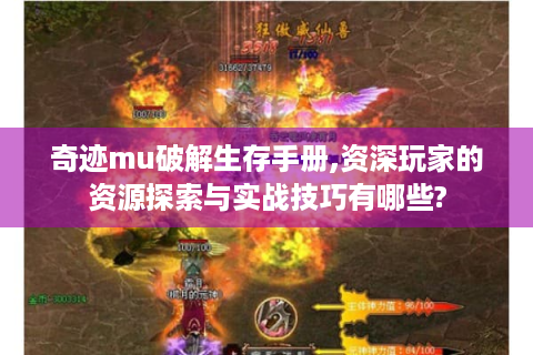 奇迹mu破解生存手册,资深玩家的资源探索与实战技巧有哪些?