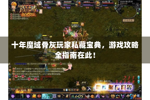 十年魔域骨灰玩家私藏宝典，游戏攻略全指南在此！
