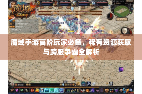 魔域手游高阶玩家必备，稀有资源获取与跨服争霸全解析