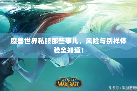 魔兽世界私服那些事儿，风险与别样体验全知道！