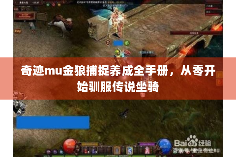 奇迹mu金狼捕捉养成全手册，从零开始驯服传说坐骑