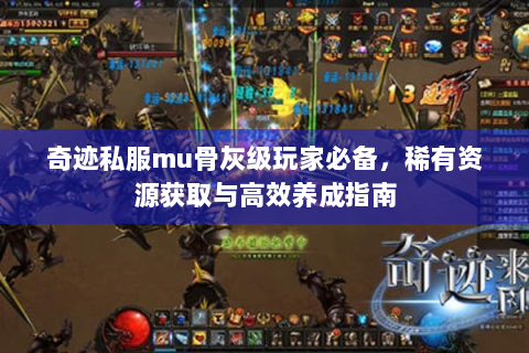 奇迹私服mu骨灰级玩家必备，稀有资源获取与高效养成指南