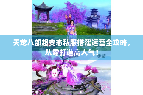 天龙八部超变态私服搭建运营全攻略，从零打造高人气！