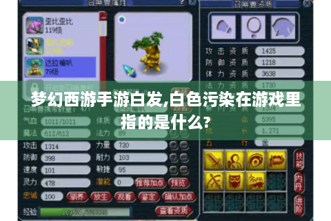梦幻西游手游白发,白色污染在游戏里指的是什么?
