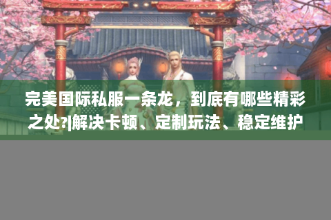 完美国际私服一条龙，到底有哪些精彩之处?|解决卡顿、定制玩法、稳定维护！