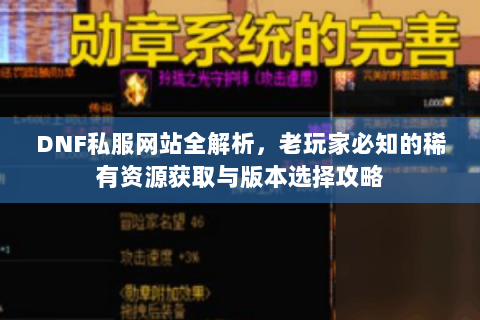 DNF私服网站全解析，老玩家必知的稀有资源获取与版本选择攻略