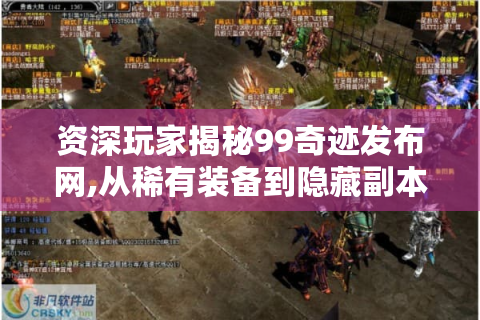 资深玩家揭秘99奇迹发布网,从稀有装备到隐藏副本的全资源指南