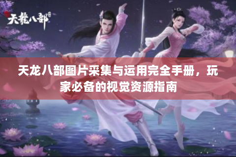 天龙八部图片采集与运用完全手册，玩家必备的视觉资源指南