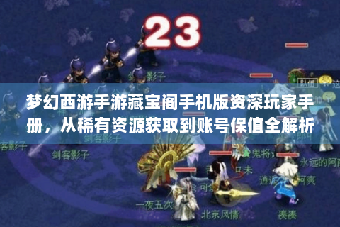 梦幻西游手游藏宝阁手机版资深玩家手册，从稀有资源获取到账号保值全解析