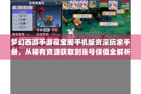 梦幻西游手游藏宝阁手机版资深玩家手册，从稀有资源获取到账号保值全解析