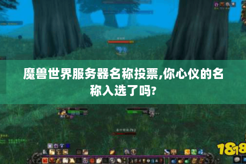 魔兽世界服务器名称投票,你心仪的名称入选了吗?
