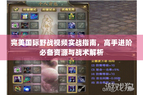 完美国际野战视频实战指南，高手进阶必备资源与战术解析